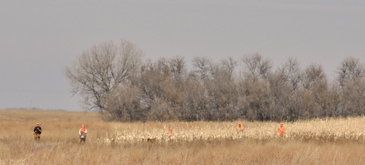 South Dakota landscape